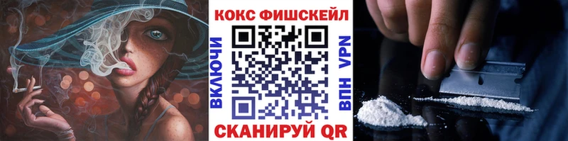КОКАИН FishScale  купить наркоту  mega ТОР  Шилка 