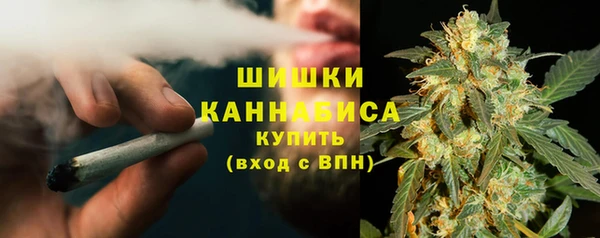 шишки Нязепетровск