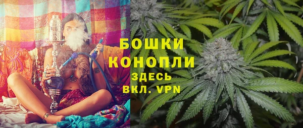 шишки Нязепетровск
