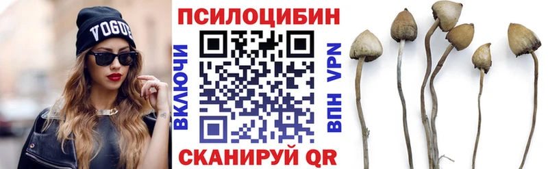 Галлюциногенные грибы Psilocybe  Шилка 